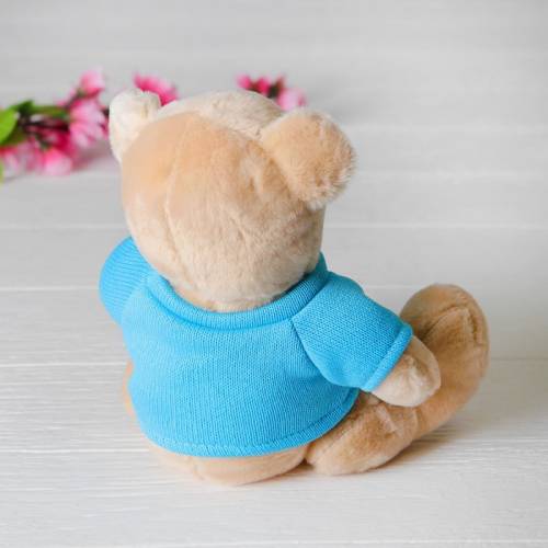 Мягкая игрушка «Медведь в кофте», 20 см, цвета МИКС