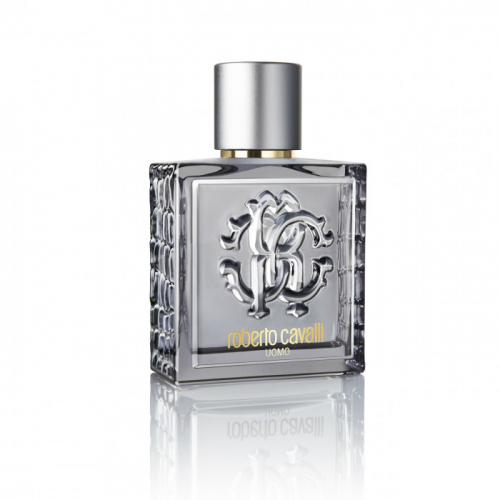 ROBERTO CAVALLI UOMO SILVER ESSENCE edt MEN 100ml TESTER