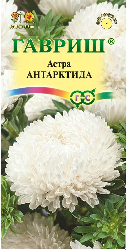 Цв. Астра Антарктида 0,3 г ц/п Гавриш