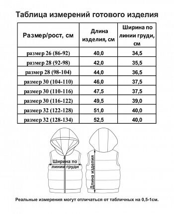 Жилет Зимние каникулы