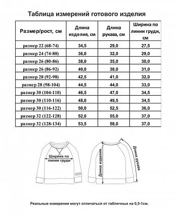 Комплект для мальчика: толстовка, футболка, брюки, шорты