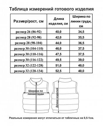 Жилет Зимние каникулы