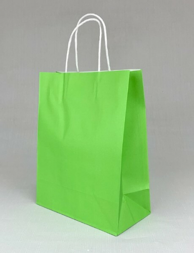 Подарочный крафт пакет с бумажной ручкой 21*27*11 см Зеленый 12 шт/уп 535907