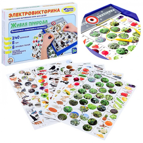 Игра Электровикторина  