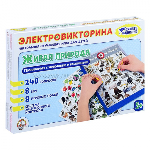 Игра Электровикторина  
