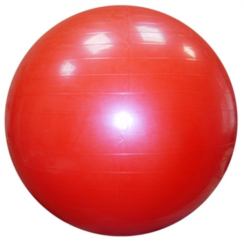 Е502 Мяч для фитнеса, d65cm гладкий, до 130кг, 1000гр