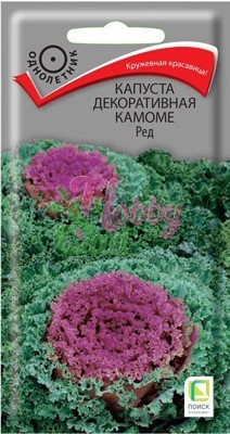 Цветы Капуста Камоме Ред декоративная (10 шт) Поиск
