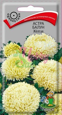 Цветы Астра Балун желтая (0,1 г) Поиск