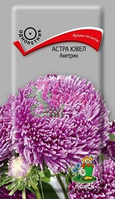Цветы Астра Ювел Аметрин (0,2 г) Поиск