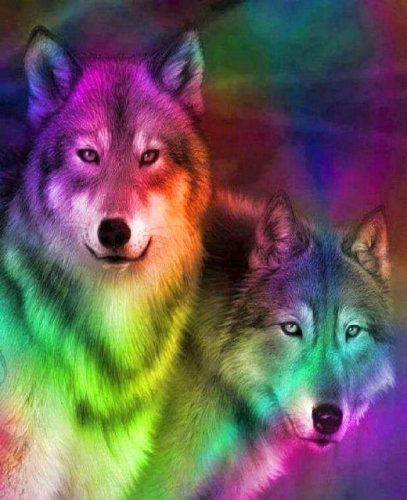 Картины по номерам 40х50 Цветные волки