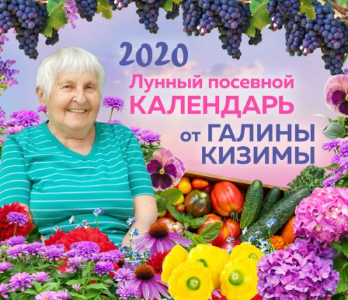 Настенный лунный посевной календарь 2020 от Галины Кизимы