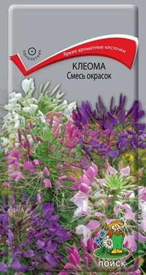 Цветы Клеома смесь окрасок (1 г) Поиск