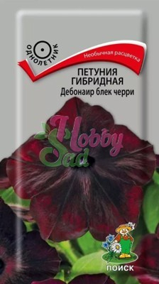 Цветы Петуния Дебонаир Блек Черри гибридная (5 шт) Поиск