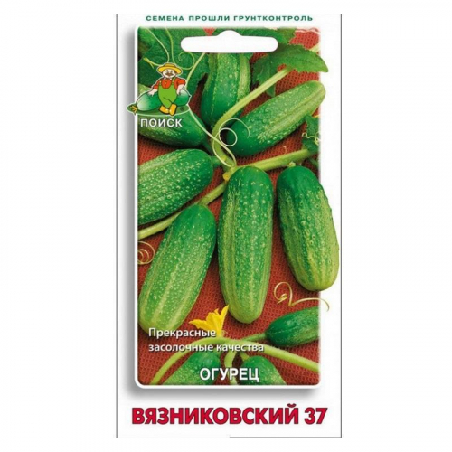 Огурец Вязниковский 37  15шт