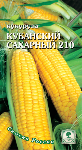 Кукуруза*Кубанский сахарный 210   5г