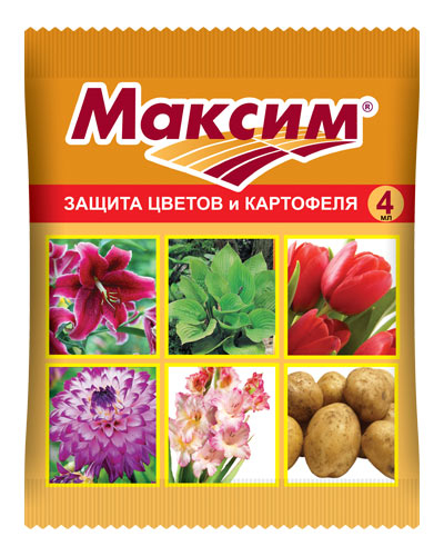 Максим 2 мл для луковиц от гнилей (1/150) (ВХ). сибирские сортовые семена