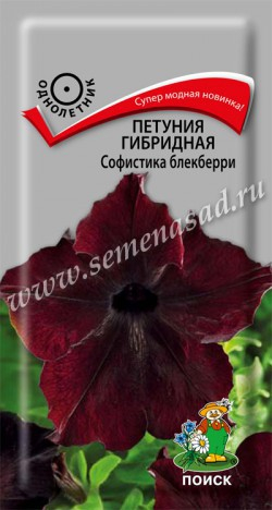 Петуния Софистика блекберри 5шт