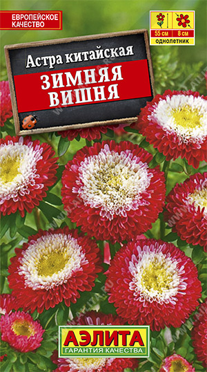 Цв. Астра Зимняя вишня 0,2 г ц/п Аэлита