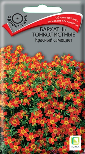 Цветы Бархатцы тонкол. Красный самоцвет 0,1 г ц/п Поиск