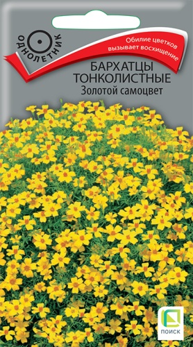 Цветы Бархатцы тонкол. Золотой самоцвет 0,1 г ц/п Поиск