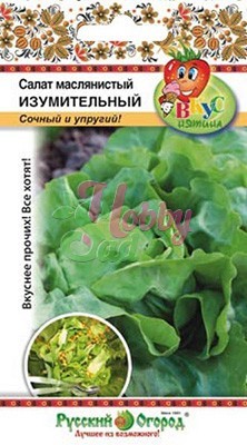 Салат Изумительный кочанный (200 шт) Русский Огород серия Вкуснятина