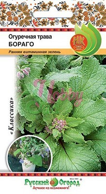 Огуречная трава Бораго (0,5 г) Русский Огород