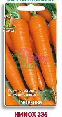 Морковь НИИОХ 336 (2 гр) Поиск