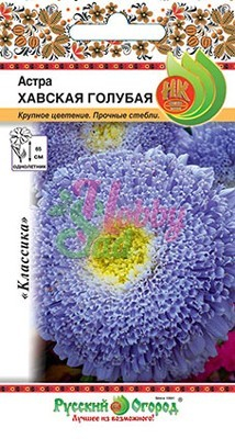 Цветы Астра Хавская голубая (0,3 г) Русский Огород