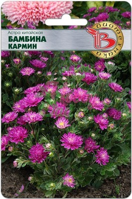 Цветы Астра китайская Бамбина Кармин (20 шт) Биотехника