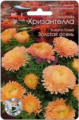 Цветы Астра китайская Хризантелла Золотая Осень (30 шт) Биотехника