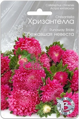 Цветы Астра китайская Хризантелла Сбежавшая Невеста (30 шт) Биотехника