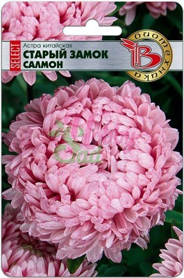 Цветы Астра китайская Старый замок SELECT Салмон (30 шт) Биотехника
