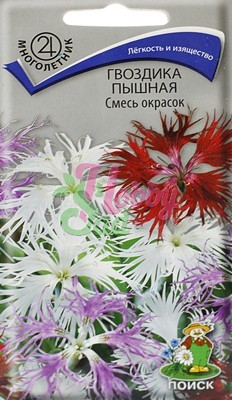 Цветы Гвоздика Смесь окрасок пышная (0,1 г) Поиск