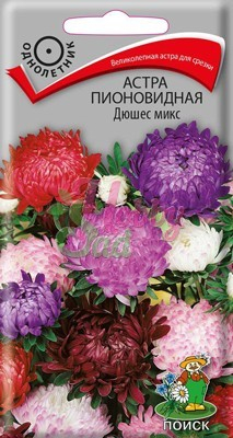 Цветы Астра Дюшес микс пионовидная (0,3 г) Поиск