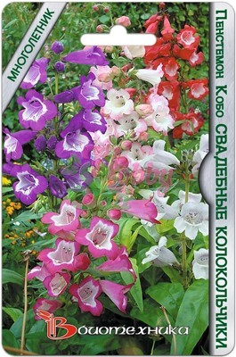 Цветы Пенстемон Кобо Свадебные Колокольчики смесь (20 шт) Биотехника