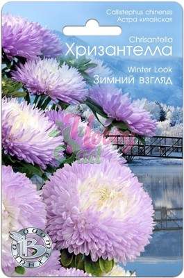 Цветы Астра китайская Хризантелла Зимний Взгляд (30 шт) Биотехника