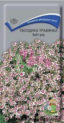 Цветы Гвоздика травянка Вайт-Ред (0,1 г) Поиск