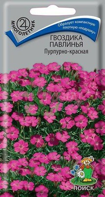 Цветы Гвоздика Павлинья Пурпурно-Красная (0,05 г) Поиск