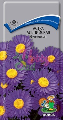 Цветы Астра Альпийская Фиолетовая (0,04 г) Поиск