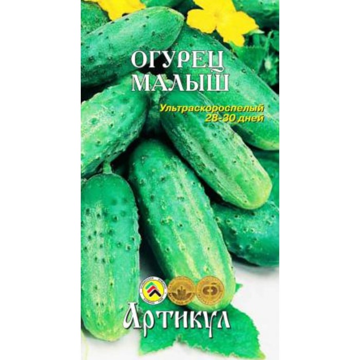 Сорт огурцов малыш. Огурец шанхайский длинный 10шт. семена огурца малыш. семена огурец малыш 10шт. огурец малыш пчелоопыляемый.