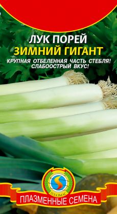 Лук порей Зимний гигант