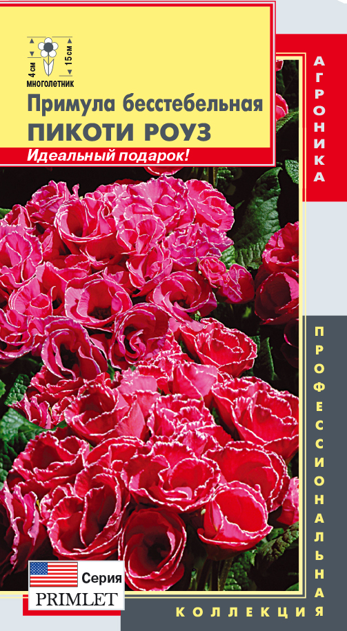 Примула бесстебельная (серия Primlet) Пикоти роуз