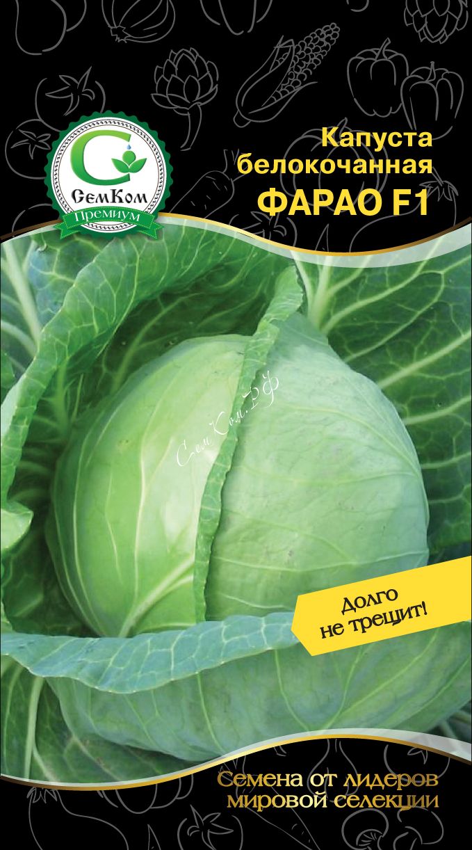 Капуста фарао описание сорта. Сeмена капуста Фарао f1. Капуста б/к Фарао f1 12шт/10. Капуста сорт Фарао. Фарао семена.