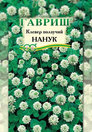 Газон Клевер ползуч. БЕЛЫЙ Нанук 100 г ц/п Гавриш