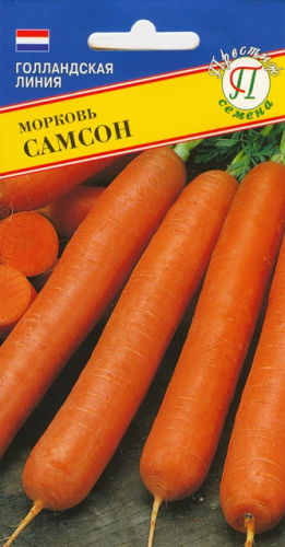 Морковь 