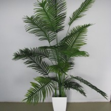 Пальма финиковая латекс, 180 см