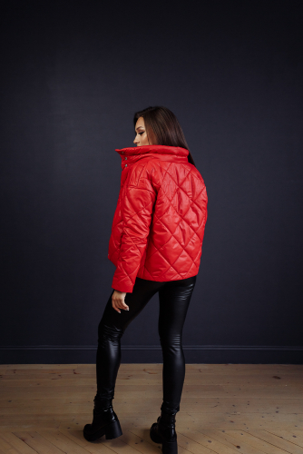 Куртка женская демисезонная 22300  (красный)