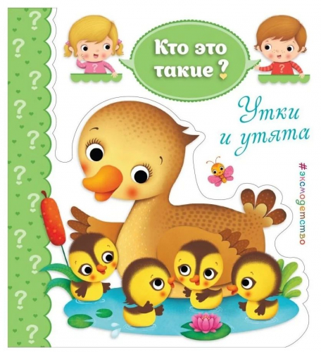 Утки и утята
