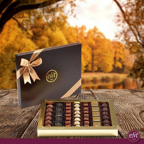 РљРѕРЅС„РµС‚С‹ elit 1924 Gourmet collection Chocolate Pralines