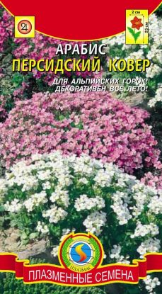 Арабис Персидский ковер